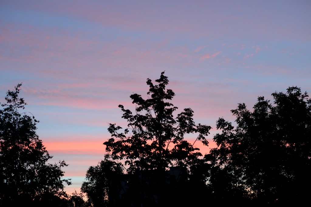 Late Evening