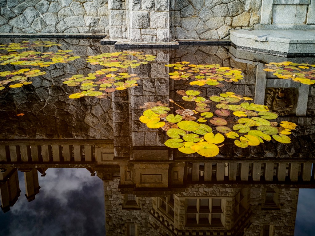 Shadows in Water
